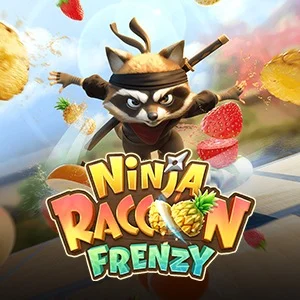 NINJA RACCOON FRENZY